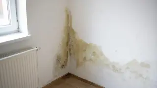 Pleśń na ścianie w rogu pokoju, obok okna i grzejnika. Dowiedz się, jak usunąć pleśń ze ściany.
